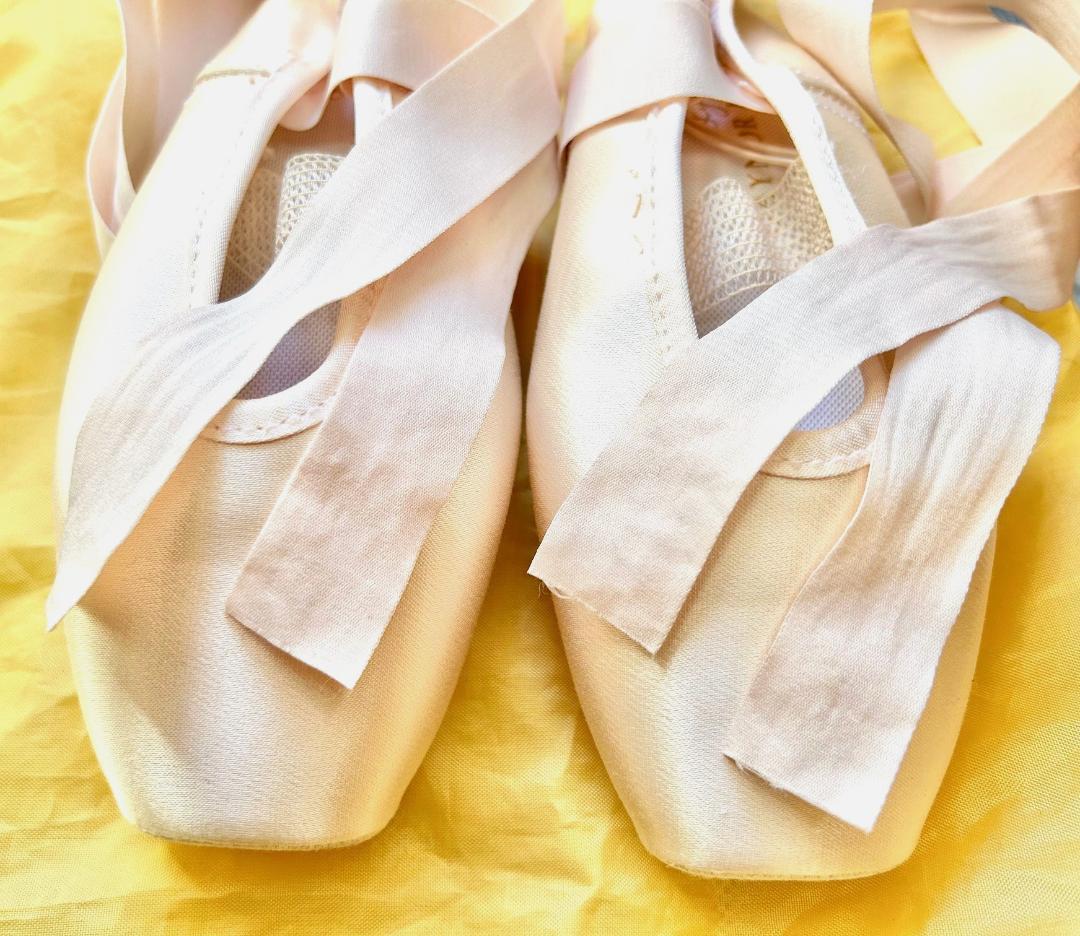 ゲイナーミンデン トウシューズ リラ 9.5 細幅