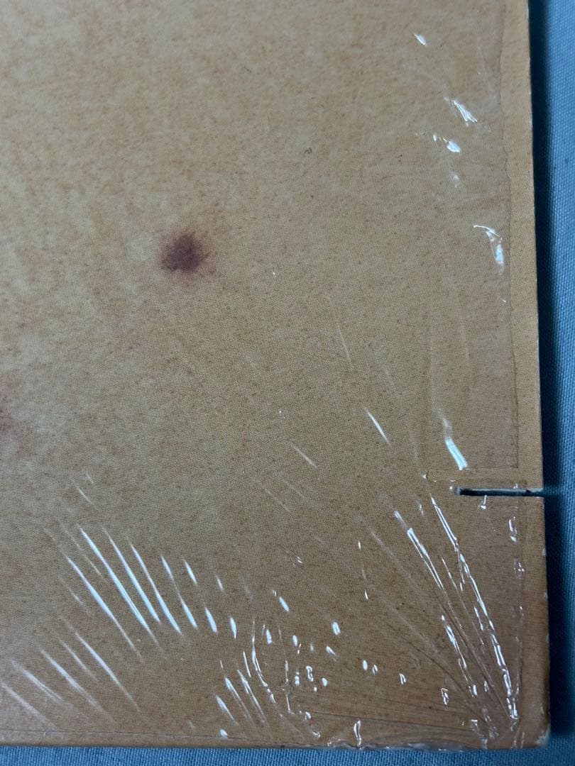 洋楽 Faith Evans Faith Notorious B.I.G.