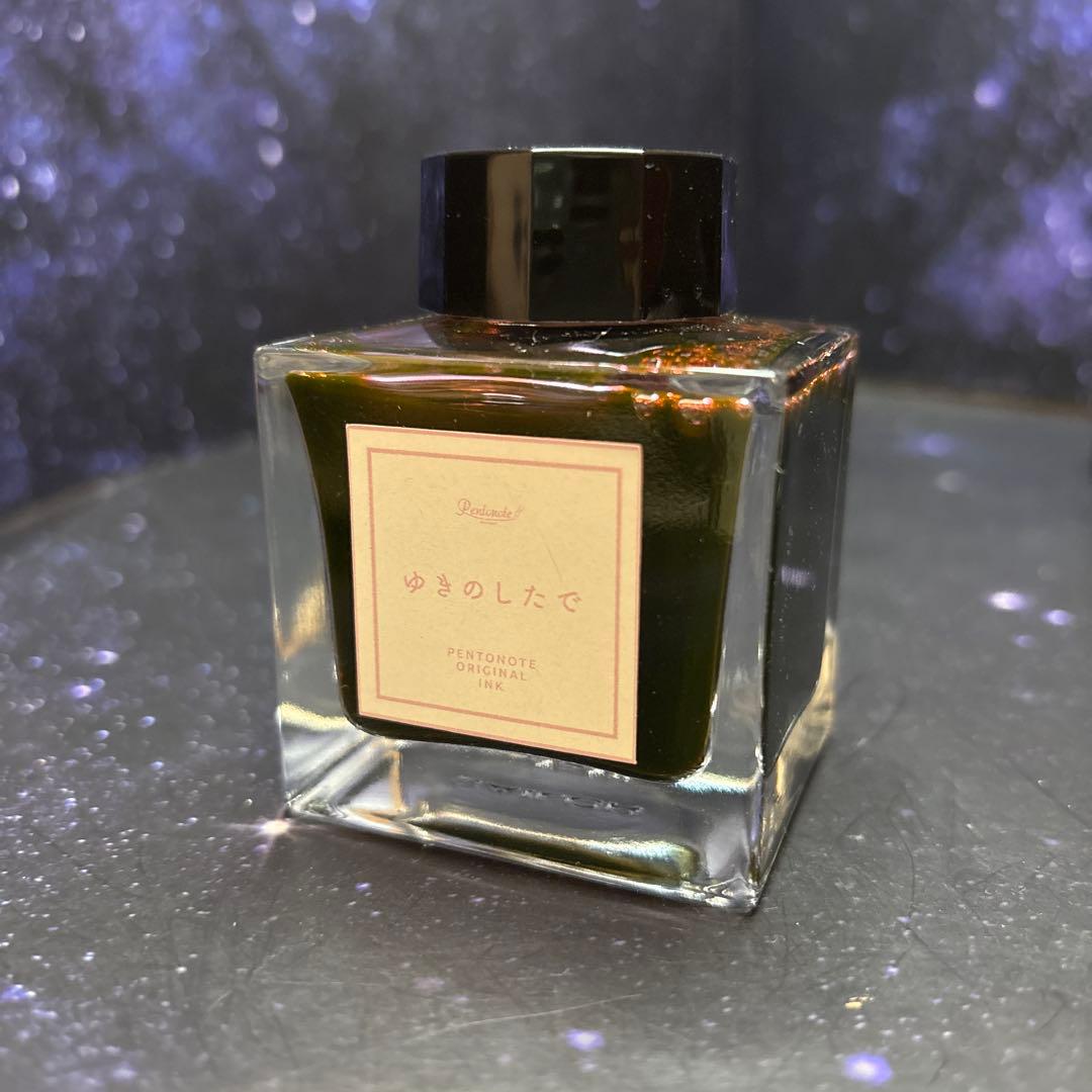 万年筆インク★ペントノートオリジナルインク★50ml 5種