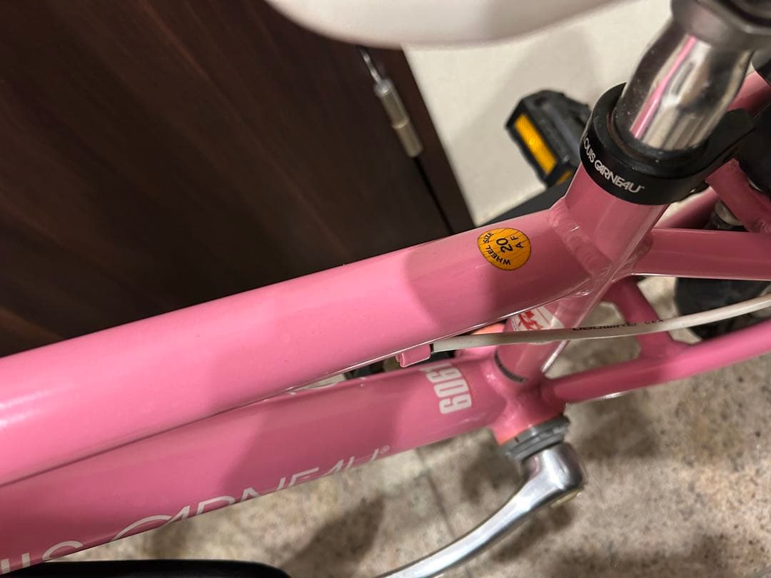 ド*ア様 LOUIS GARNEAU ルイガノ　子供用自転車 20インチ　引取限