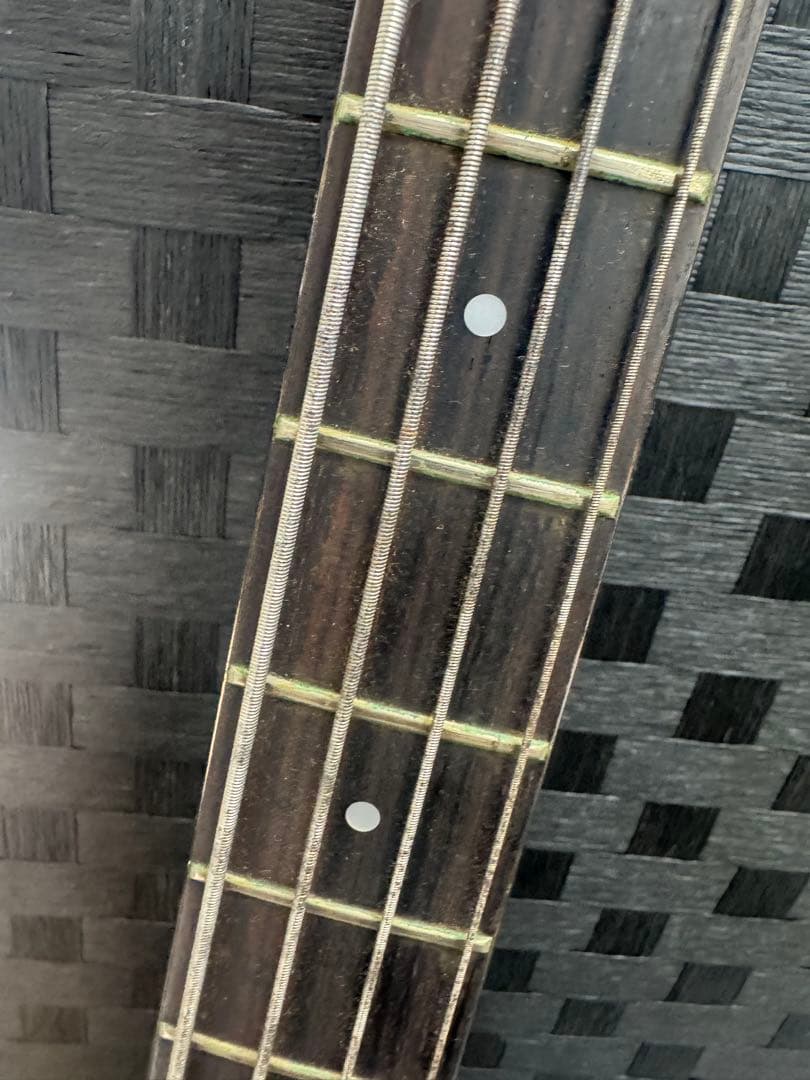 TUNE BASSMANIAC エレキベース