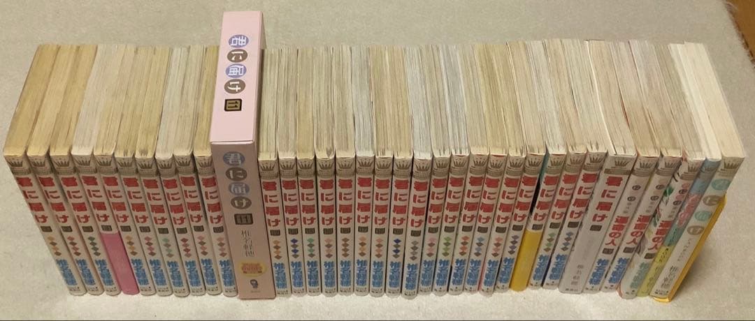 君に届け全巻＋運命の人1〜３巻＋FAN BOOK＋GUIDE BOOK　セット