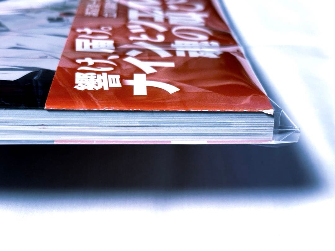 残響のテロル オフィシャルガイドブック