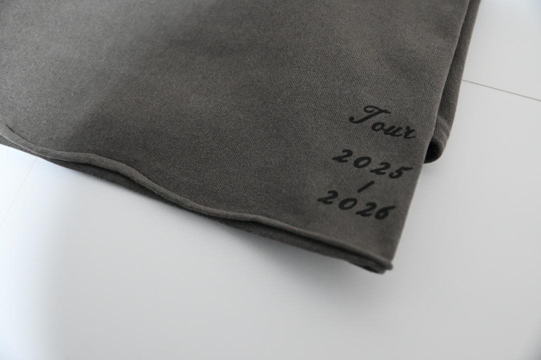 【ラスト1枚】レディー・ガガ ライブTシャツ Lサイズ MAYHEM BALL