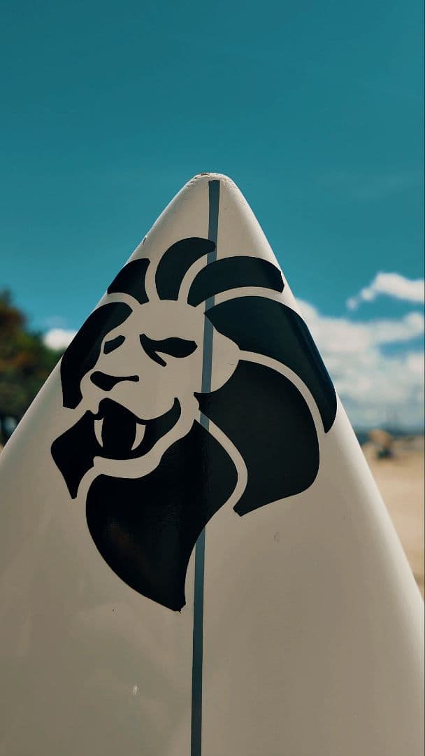 6'0サーフテックシェーンドリアンモデル