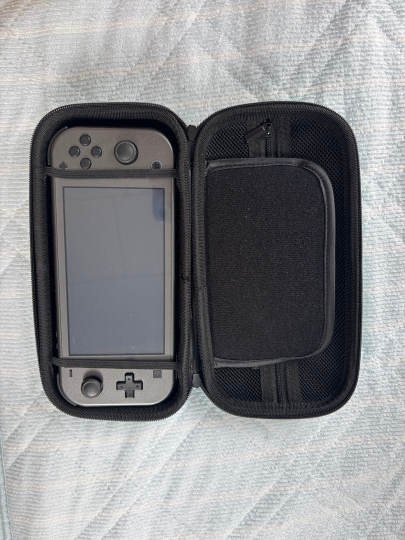Nintendo Switch Lite 特別版 + ハードケース