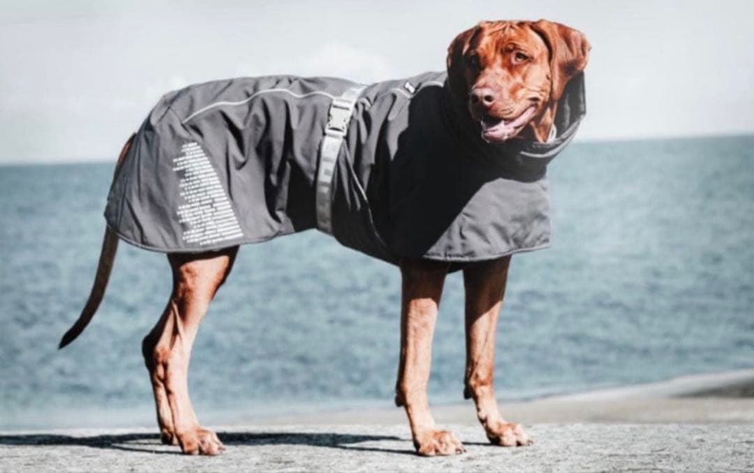 【Hurtta】フルッタ/ドッグジャケット【エクストリームウォーマーⅢエコ】