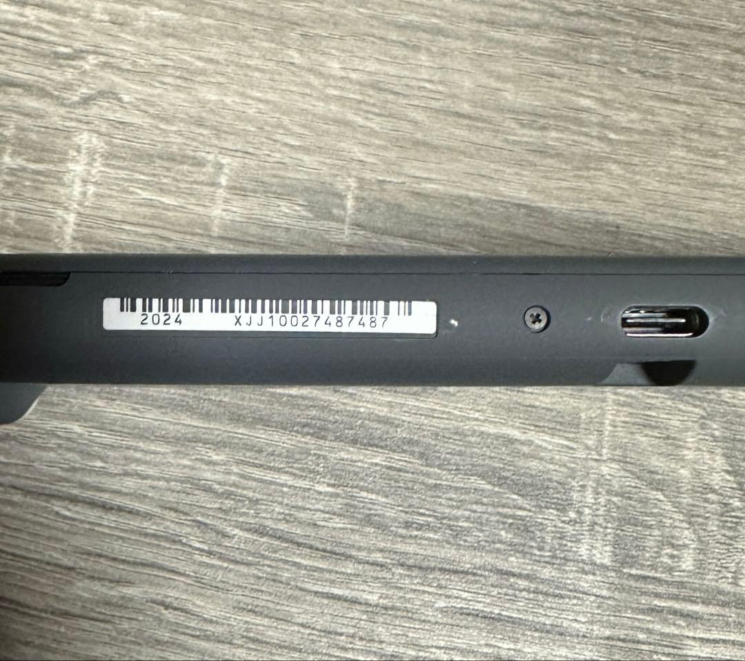 Nintendo Switch Lite グレー 本体　2024 美品