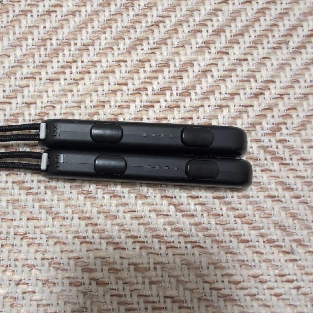 Switch本体　マリカーコントローラー付き　訳あり