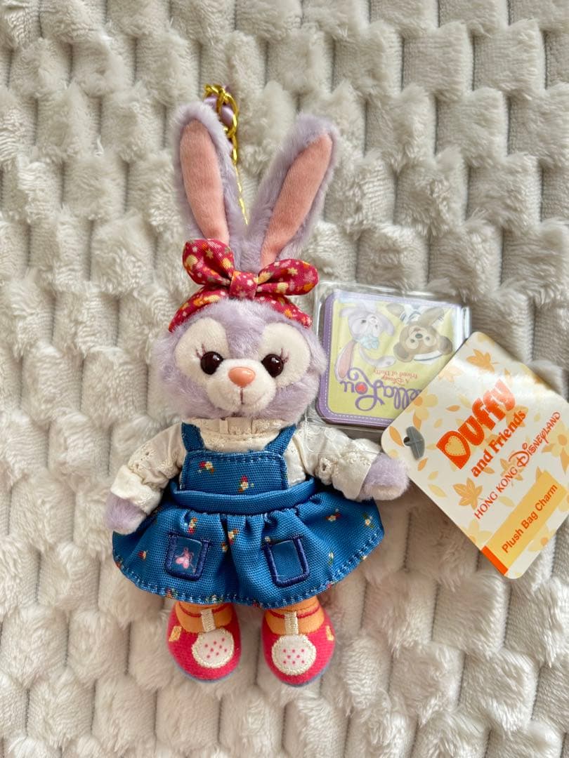 香港ディズニー⭐︎秋シリーズ⭐︎ステラルー