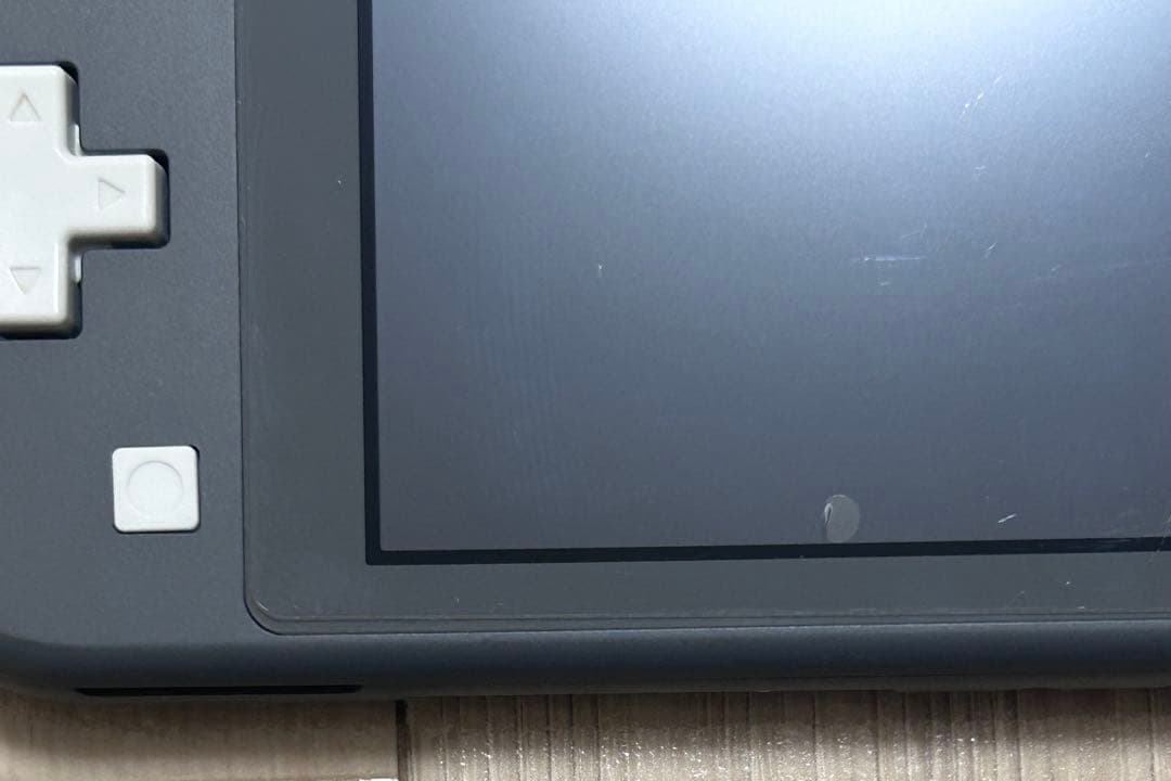 Switch Light　グレー　充電器＆箱あり