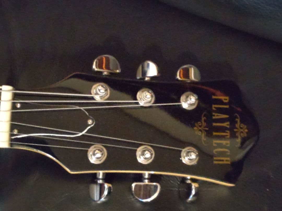 PLAYTECH ( プレイテック )SA30