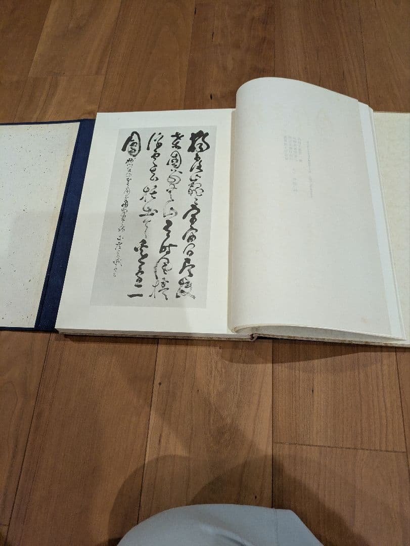 山岡鉄舟居士遺墨集