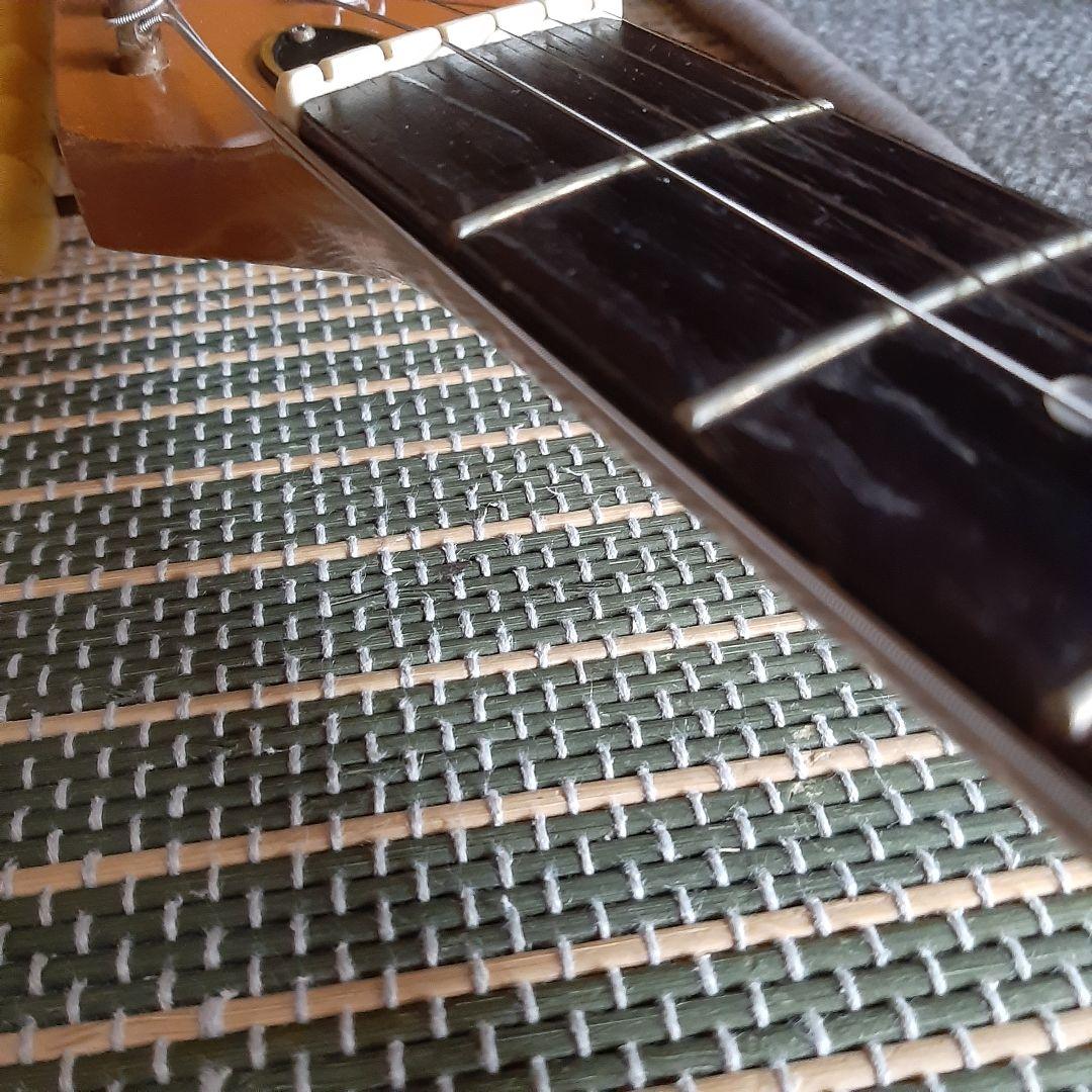 PASSION VEG-120 ヴィンテージ ビザールギター 弦新品