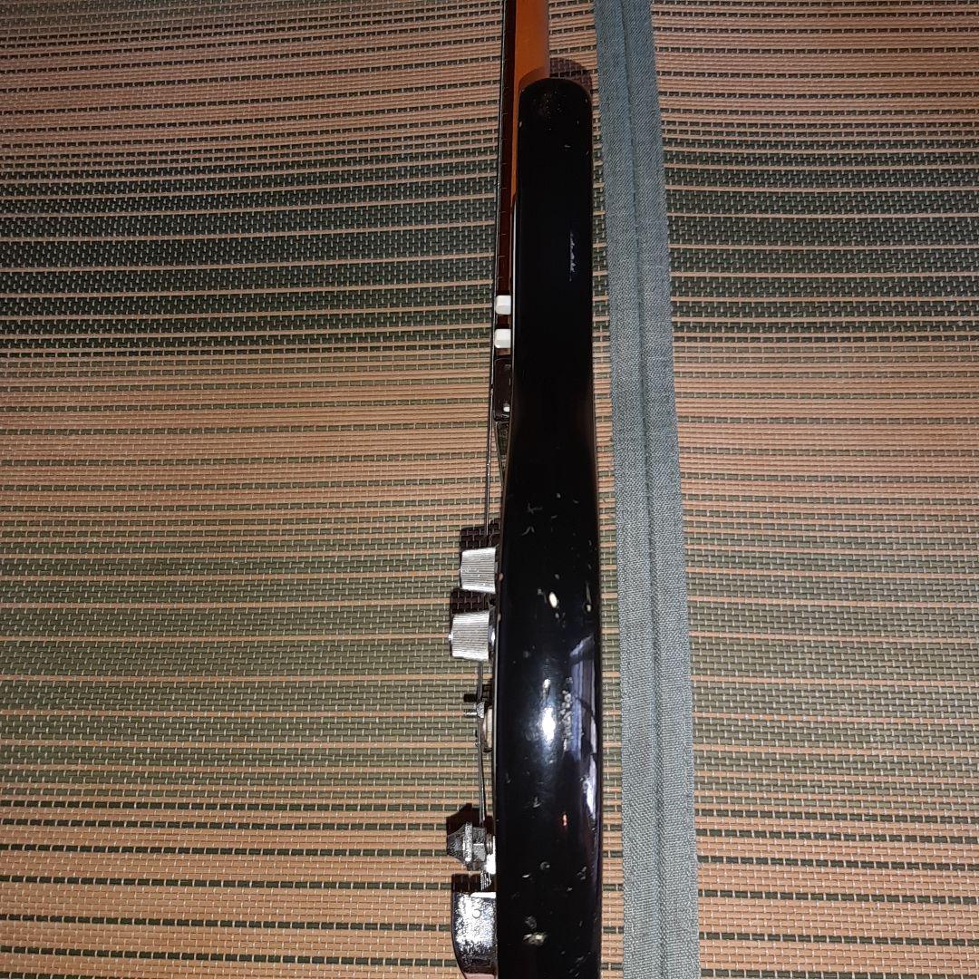 PASSION VEG-120 ヴィンテージ ビザールギター 弦新品