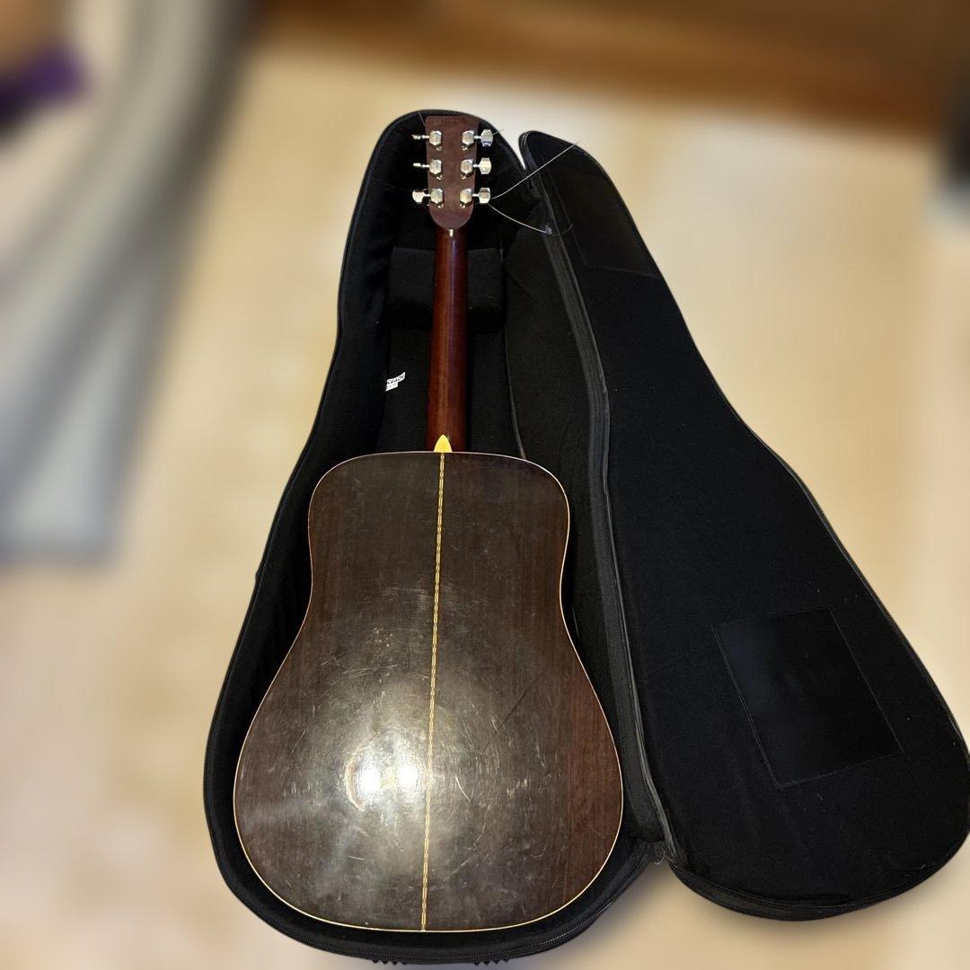 Morris アコースティックギター ケース付き