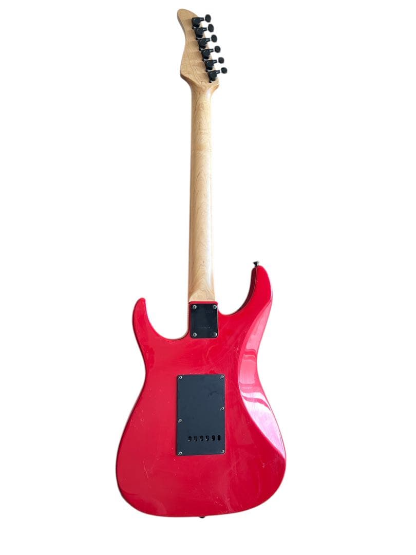 エレキギター FERNANDES