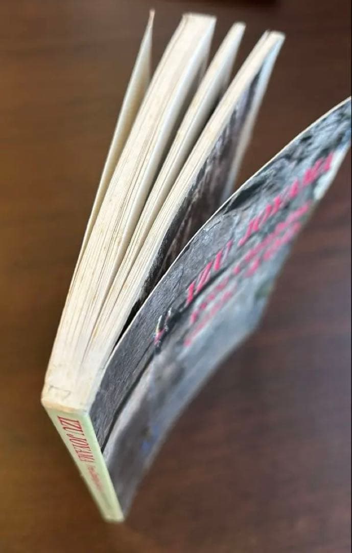 伊豆城山フリークライミングガイド400