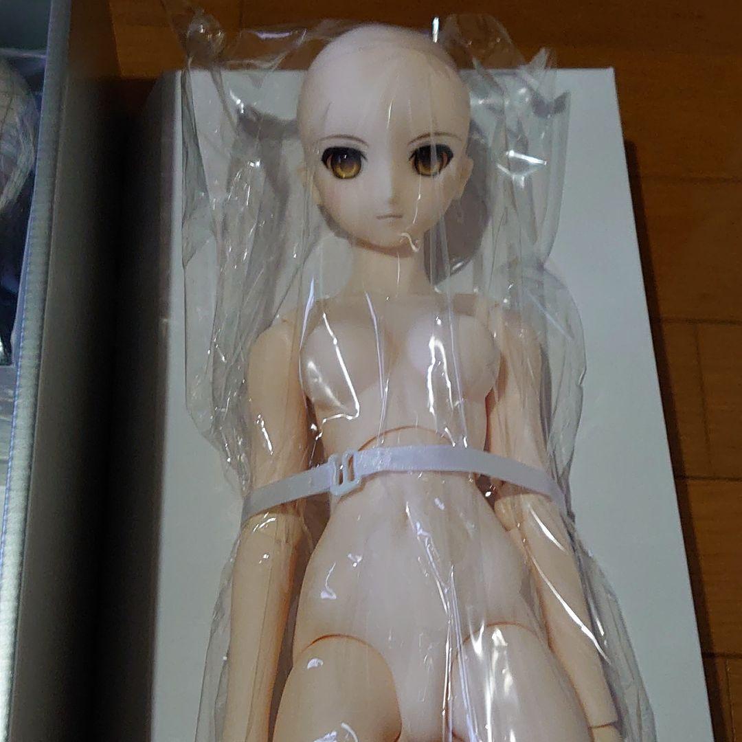 新品 ドルフィードリーム サンタオルタ