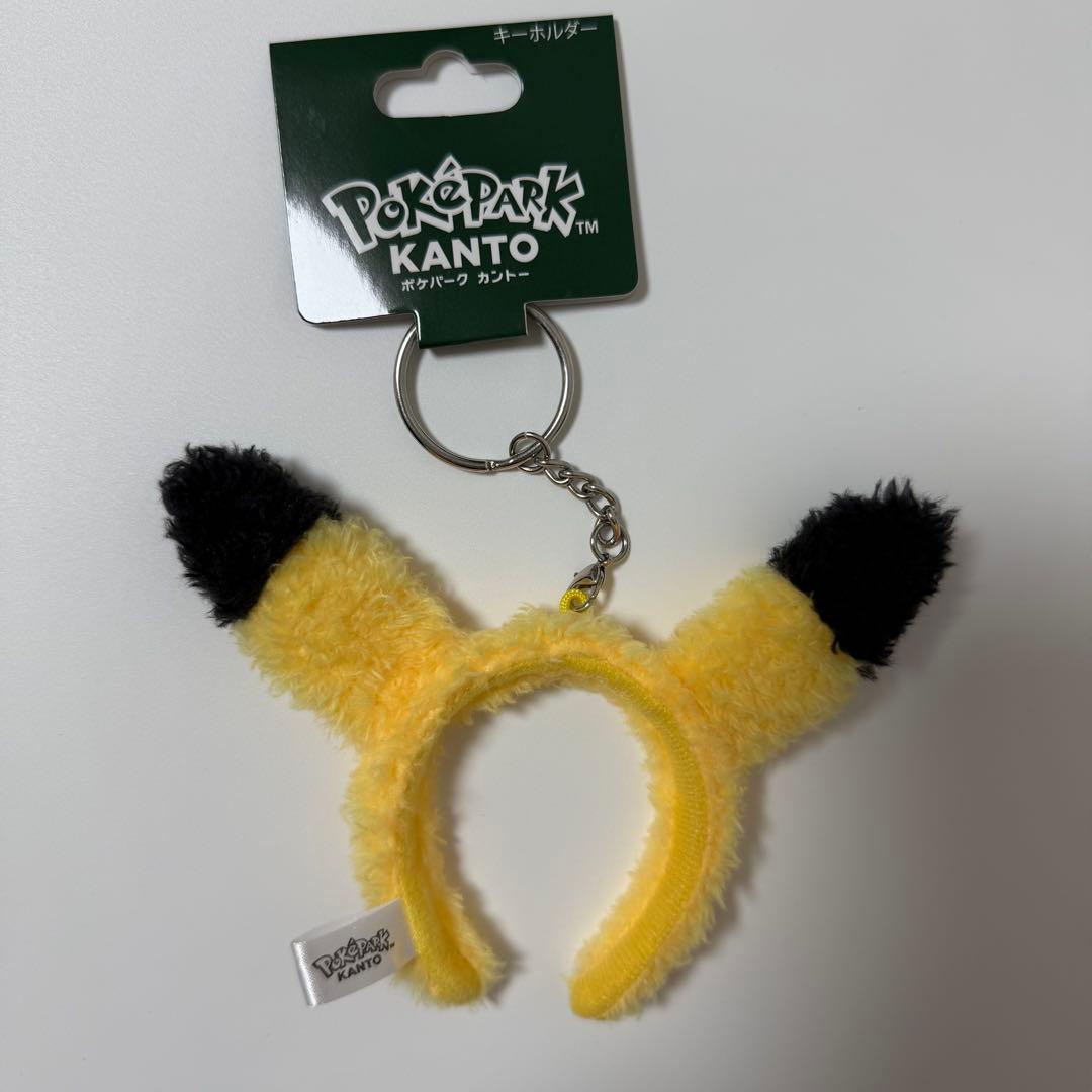 ポケパーク カントー ピカチュウ まとめ売り