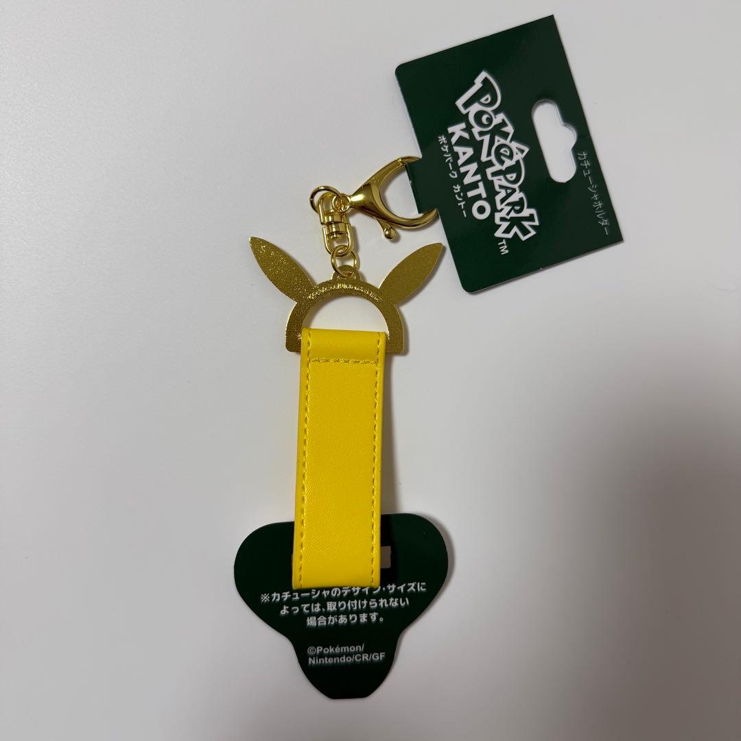 ポケパーク カントー ピカチュウ まとめ売り