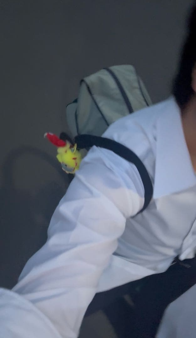 old adidas スクールバッグ スクバ グレー ワッぺ 兼松