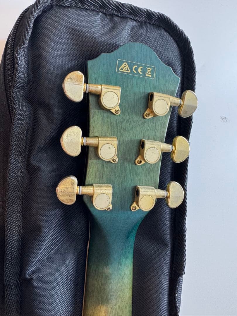ibanez aeg24Ⅱ-TOS1204 エレアコ　アコースティックギター