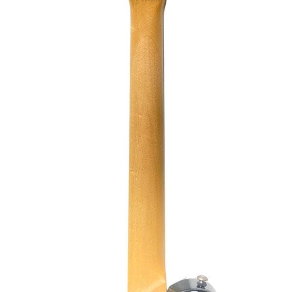 Pignose ピグノーズ PGG-200 アンプ内蔵エレキギター