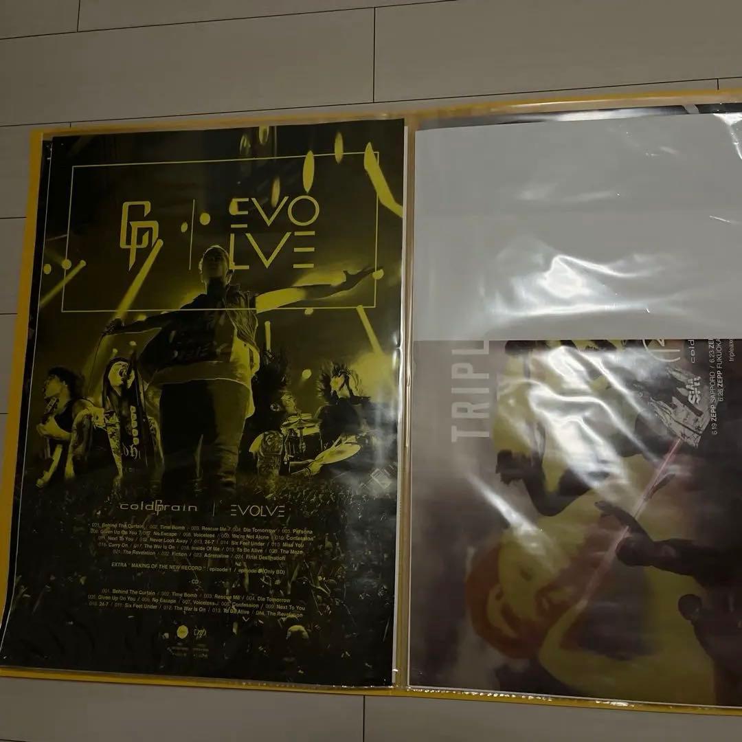 バンドポスターまとめ売り(ポスターファイル付)