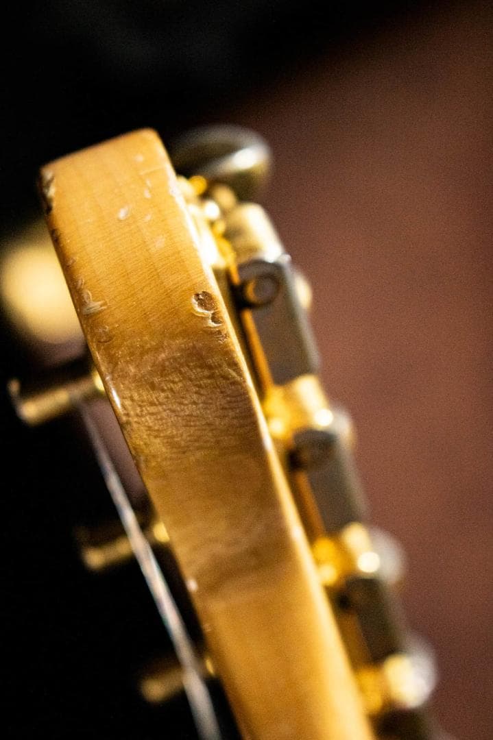 希少 Moon RM-DX-134 レゲエマスター REGGAE MASTER