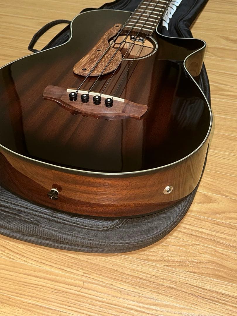 Ibanez AEGB24E-MHS (必ず商品の説明をご覧ください！)