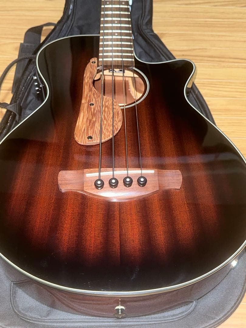 Ibanez AEGB24E-MHS (必ず商品の説明をご覧ください！)