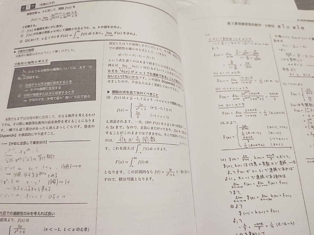 鉄緑会　夏　高３理系数学・分野別　講義冊子フルセット　数Ⅲ　李先生　河合塾　駿台