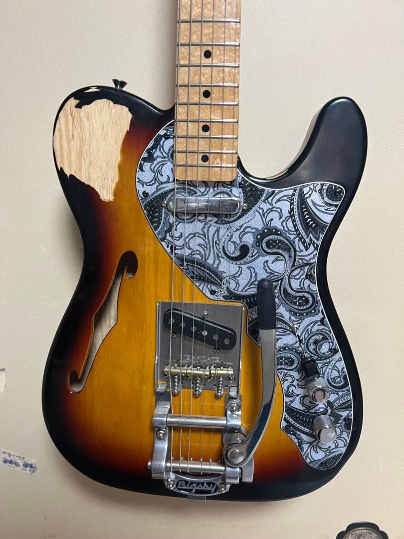 ギター Fender Telecaster Thinline bigsby b5