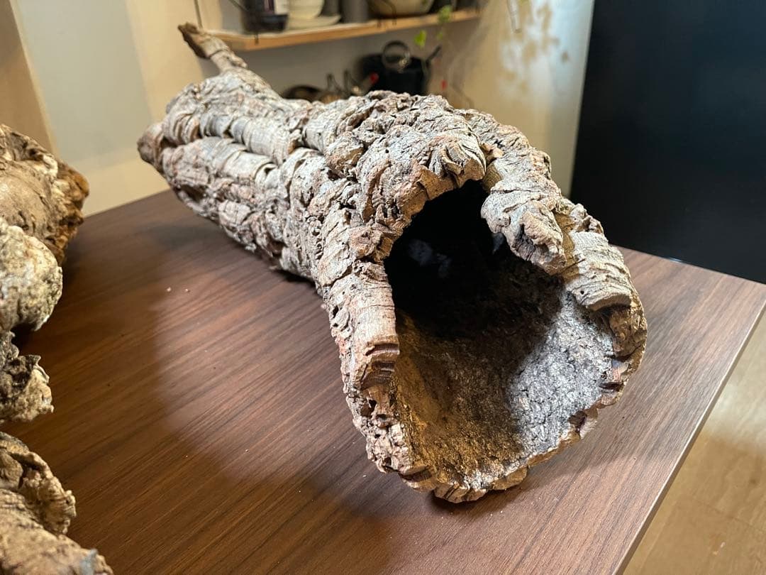 巨大コルク3点セット