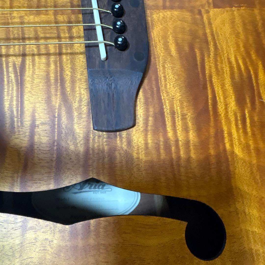 Aria アコースティックギター フルボディ