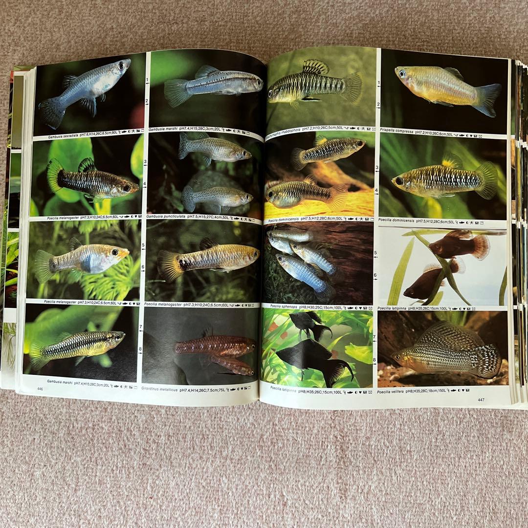 淡水観賞魚大図鑑 アトラス　大型本