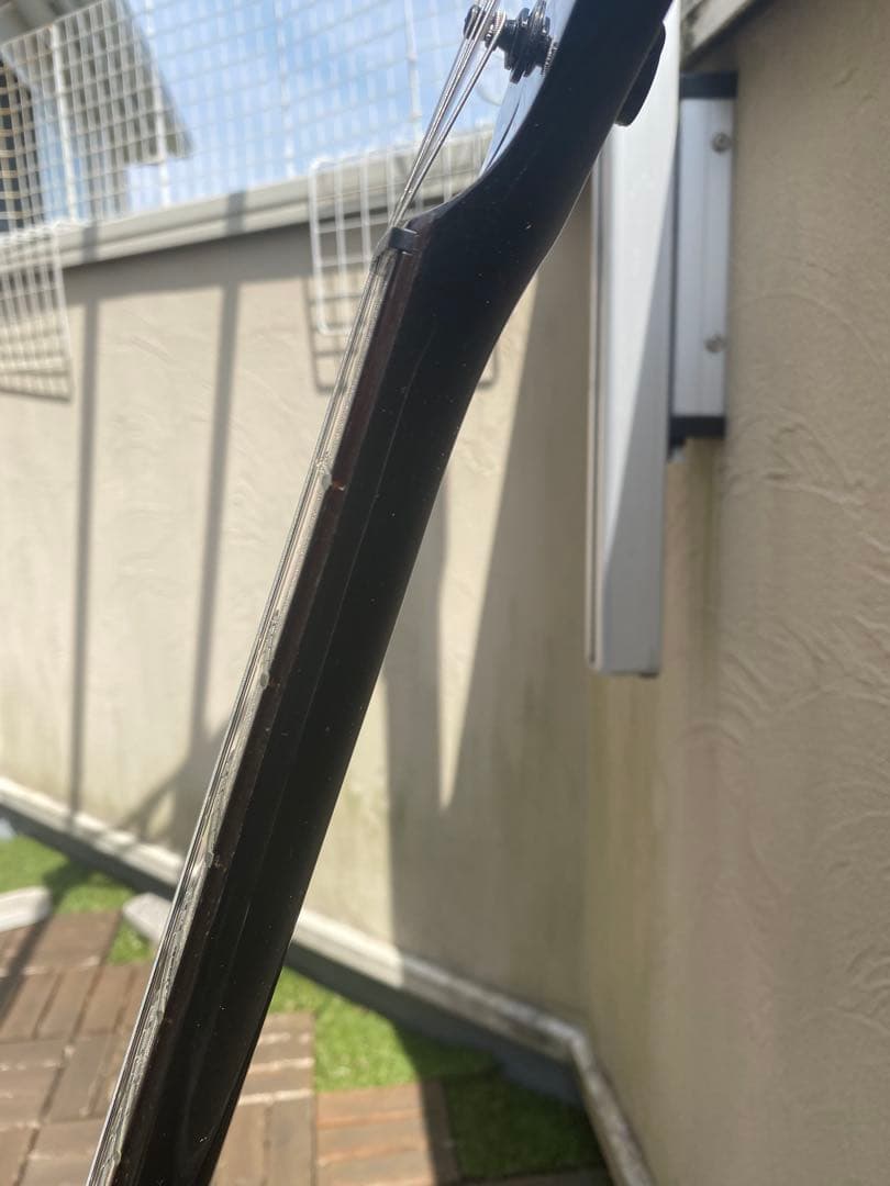 Black Dog by Aria proII(ストラトキャスター タイプ)