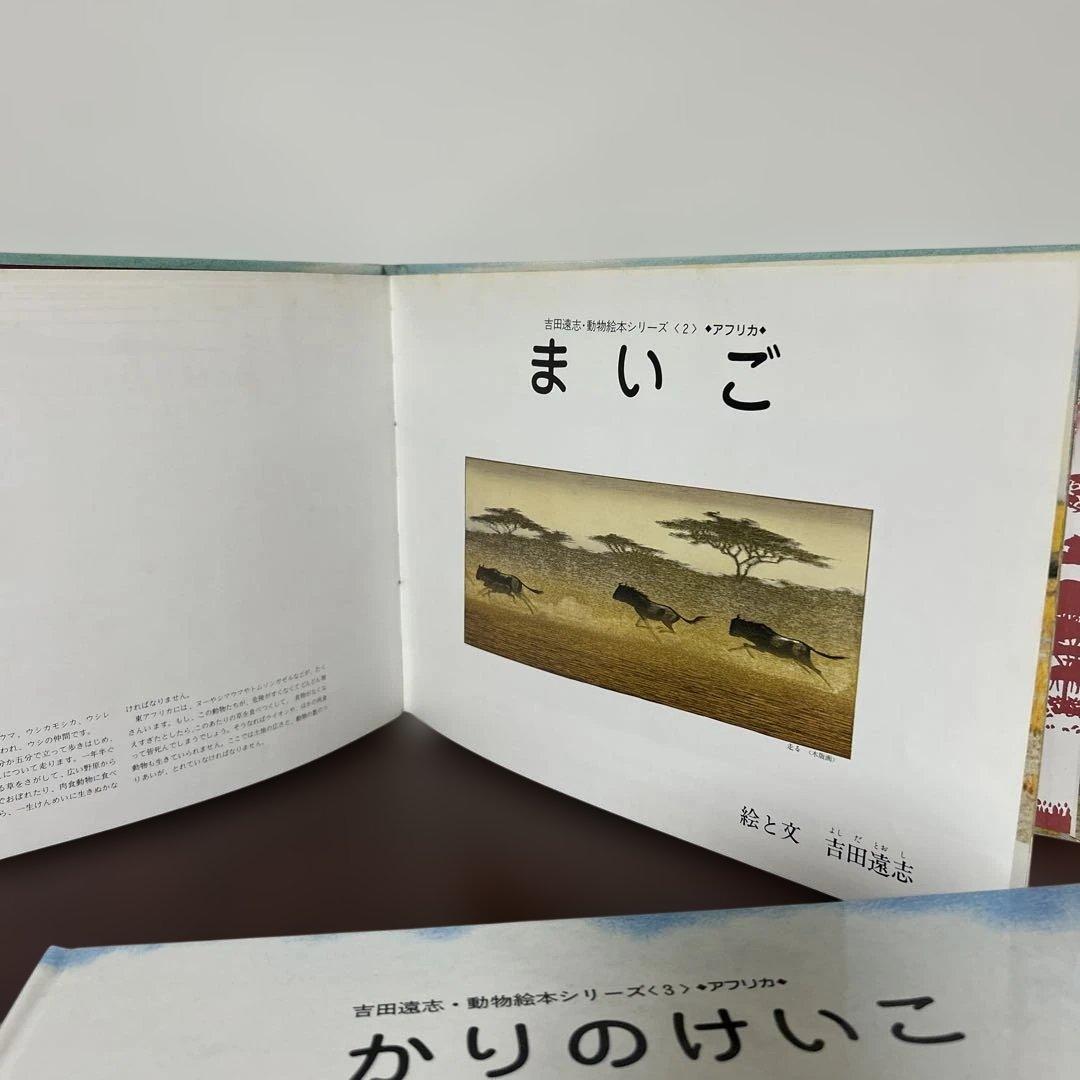 かりのけいこ、かんちがい 、はじめてのかり吉田遠志　動物絵本シリーズ アフリカ
