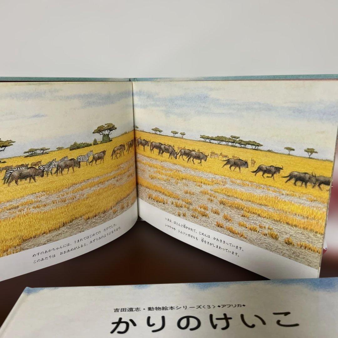 かりのけいこ、かんちがい 、はじめてのかり吉田遠志　動物絵本シリーズ アフリカ