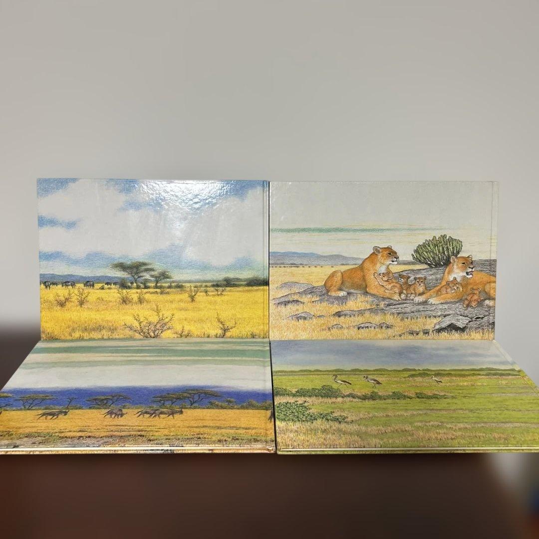 かりのけいこ、かんちがい 、はじめてのかり吉田遠志　動物絵本シリーズ アフリカ