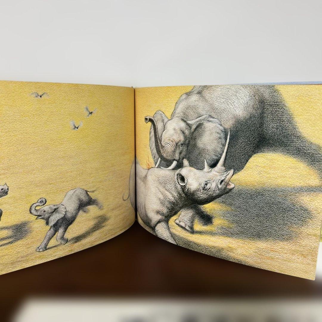 かりのけいこ、かんちがい 、はじめてのかり吉田遠志　動物絵本シリーズ アフリカ