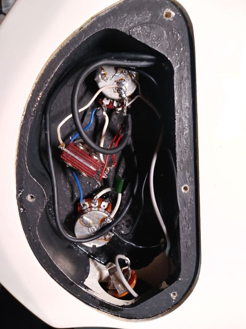 Grass Roots グラスルーツ　G-FR-56　訳あり