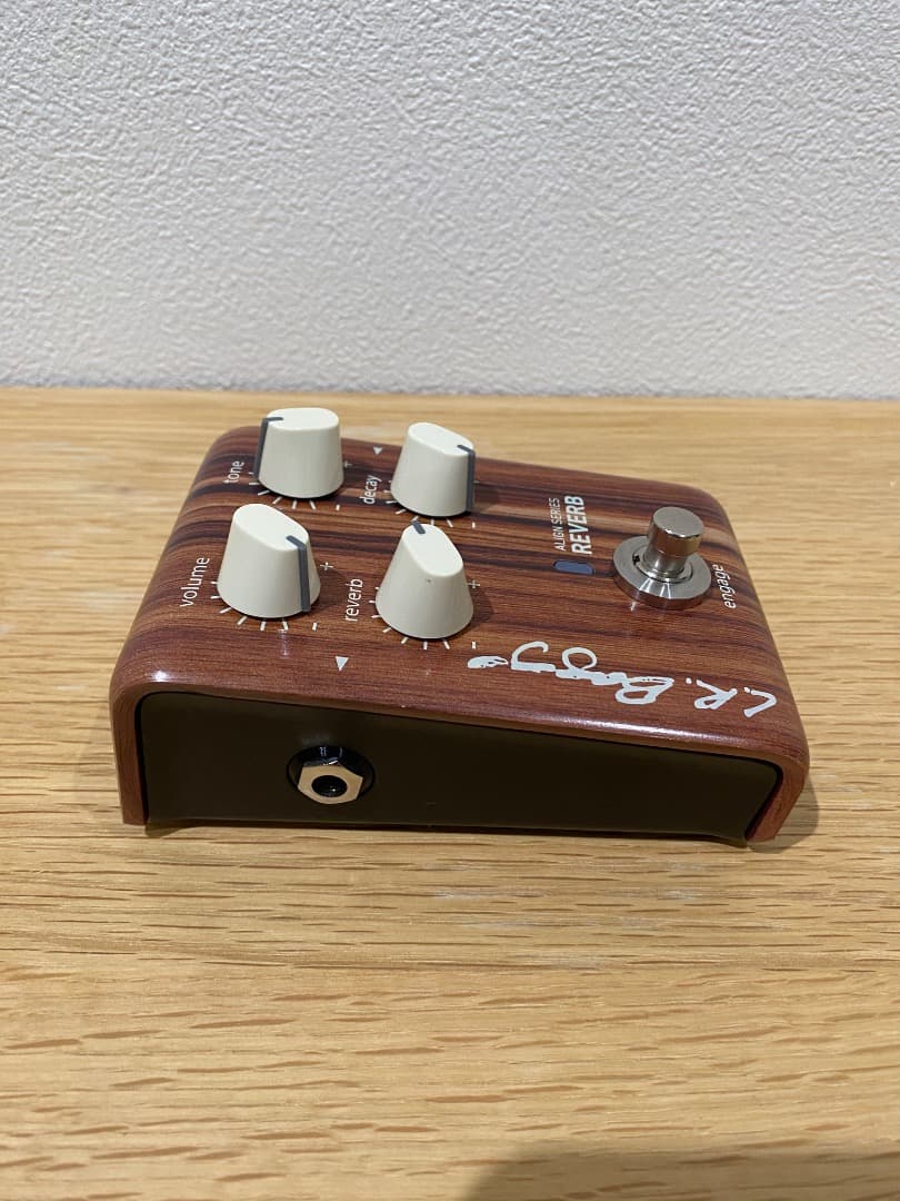 【Dew】L.R.Baggs Align Reverb