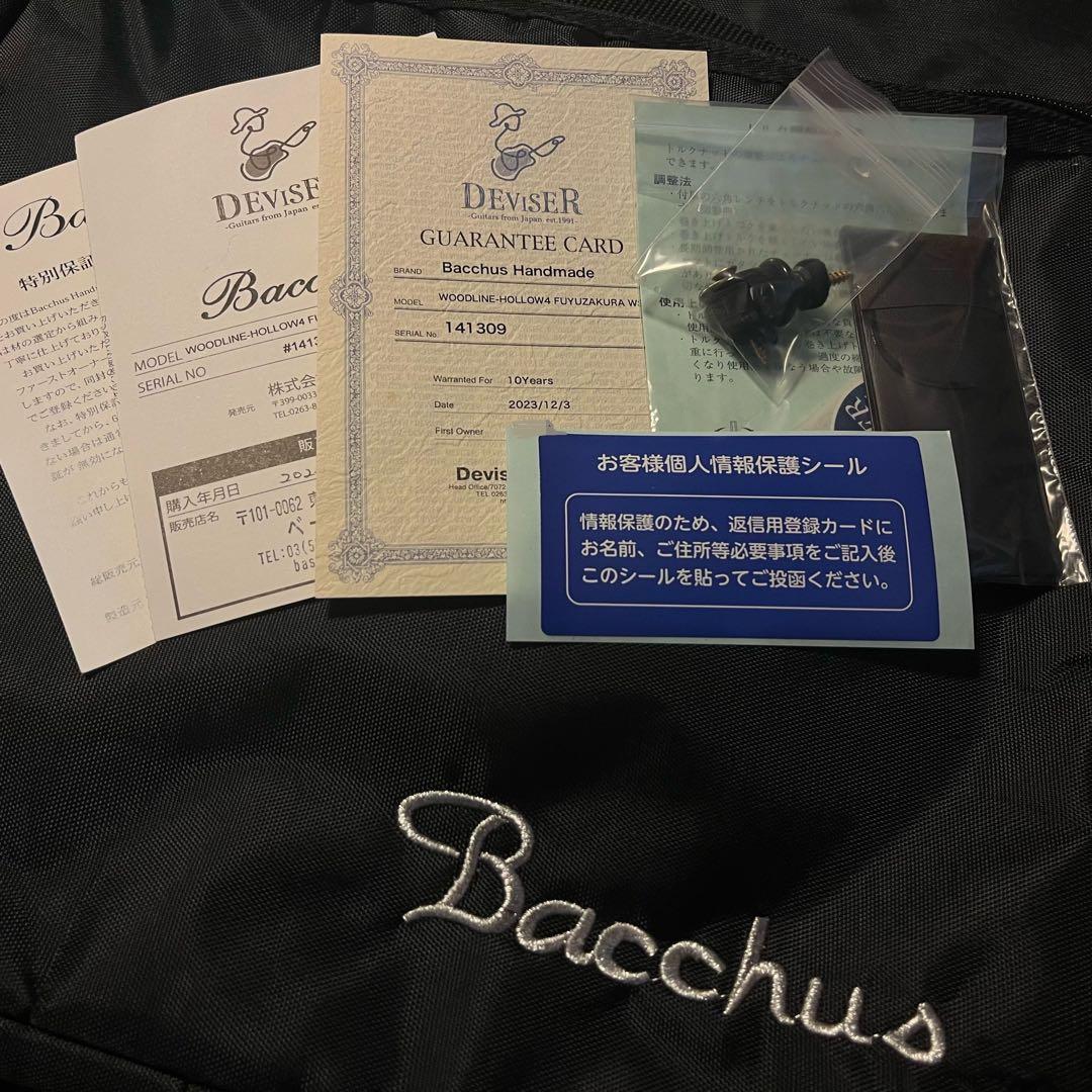 WOODLINE-HOLLOW4 FUYUZAKURA WSE’23/E