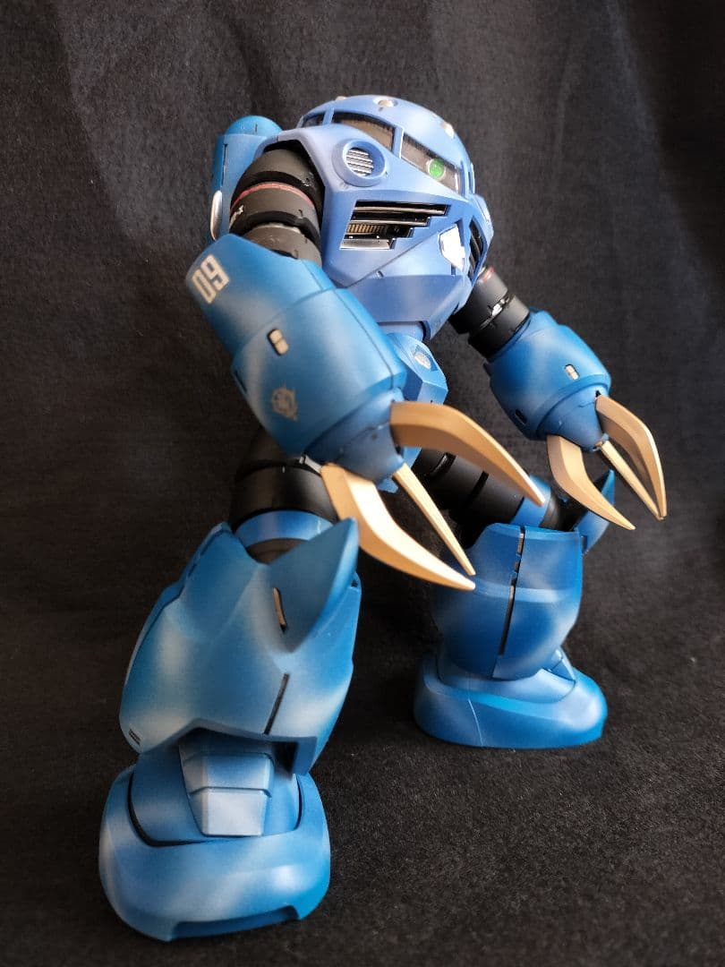 MG ズゴック 塗装完成品