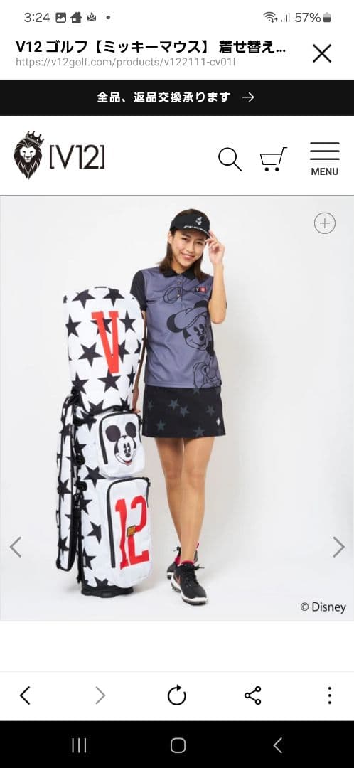 ひ*し様 v12着せ替えキャディーバックカバーのみ