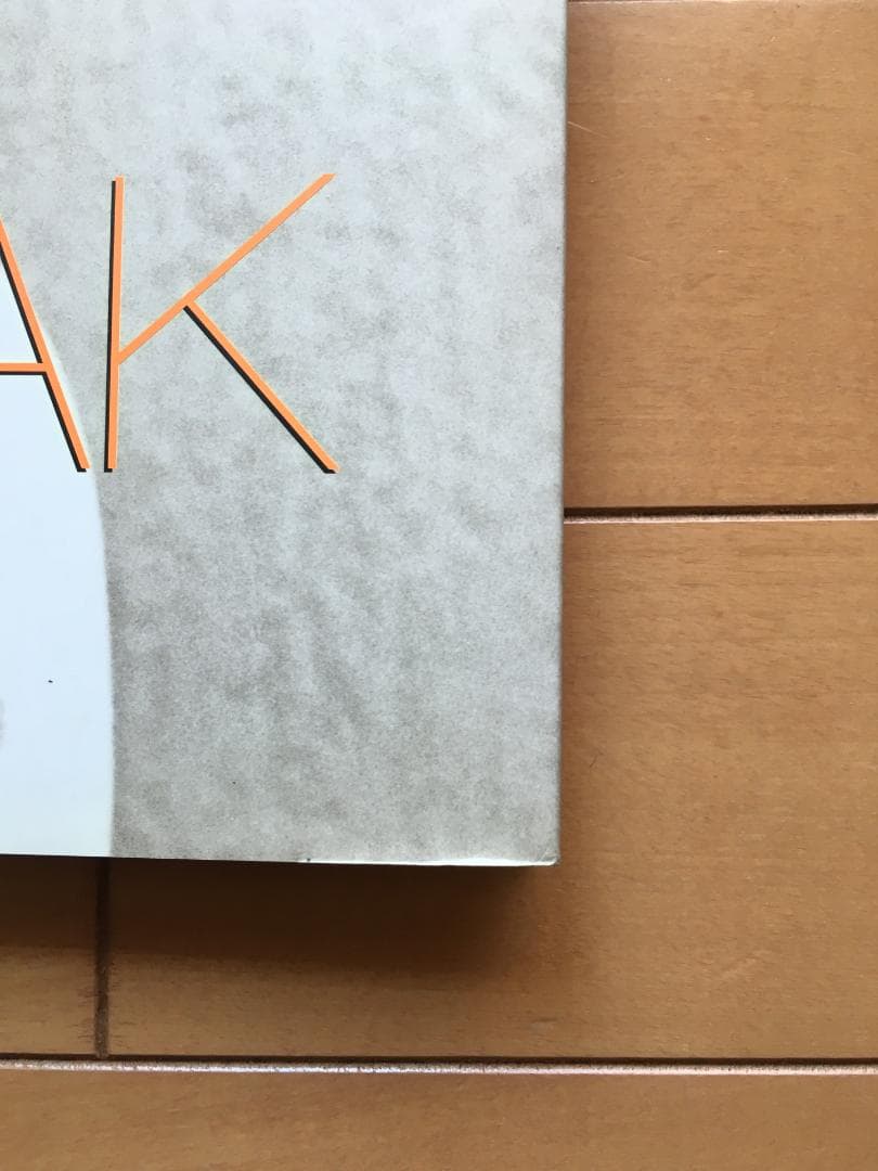 ANTON CORBIJN アントンコービン 『STAR TRAK 』写真集