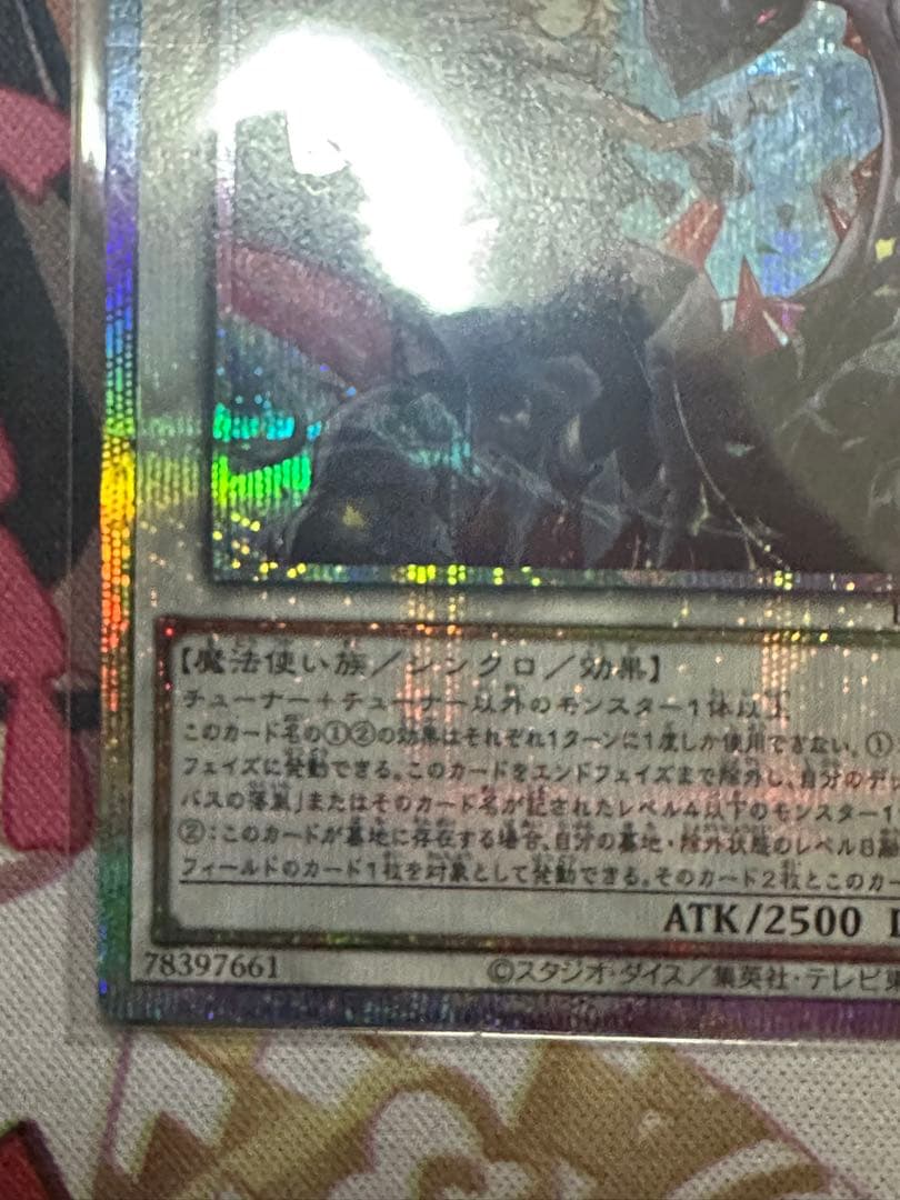 黒き竜のエクレシア プリシク