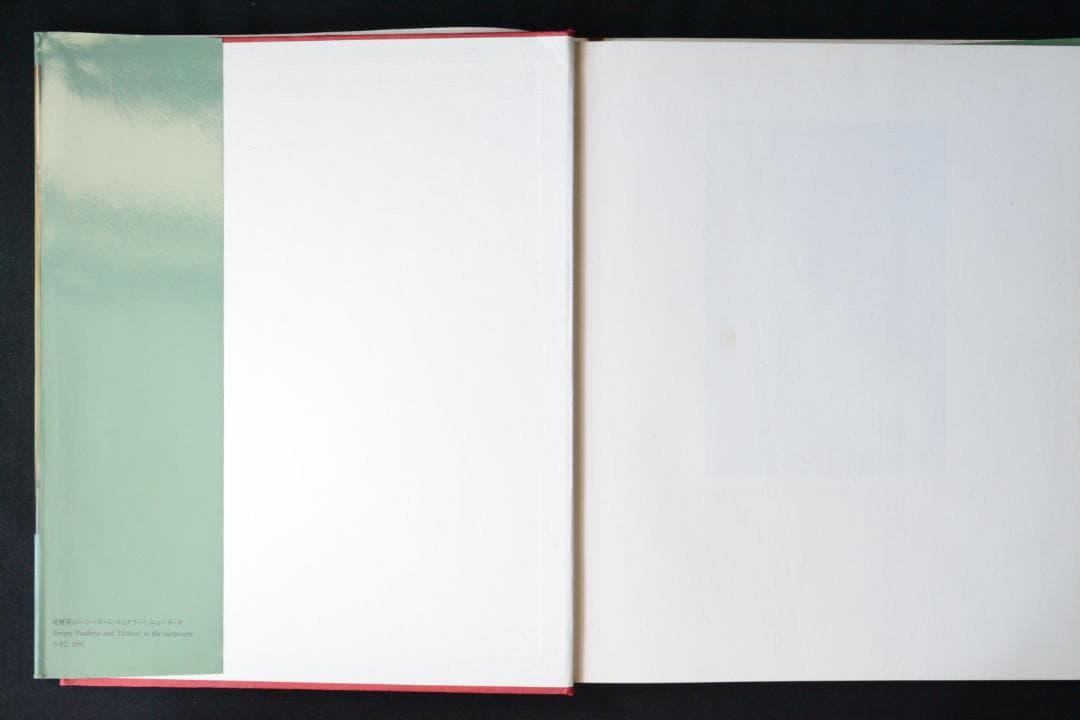 【THE OTHER SIDE: ナン・ゴールディン写真集】1993年初版第一刷